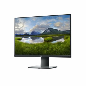 DELL P2421 24.1&quot; | 1920 x 1200 IPS | 60Hz | Monitor