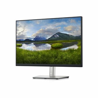 DELL P2423 24&quot; | 1920 x 1200 IPS | 60Hz | Monitor