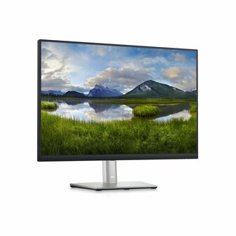 DELL P2423 24&quot; | 1920 x 1200 IPS | 60Hz | Monitor