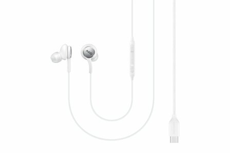 Samsung EO-IC100 Headset Bedraad In-ear Oproepen/muziek USB Type-C Wit