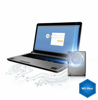 Western Digital Blue HDD 3.5&quot; | 500GBB SATA III | 7200RPM