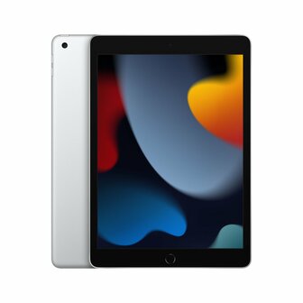 Apple iPad 64 GB 25,9 cm (10.2&quot;) Wi-Fi 5 (802.11ac) iPadOS 15 Zilver