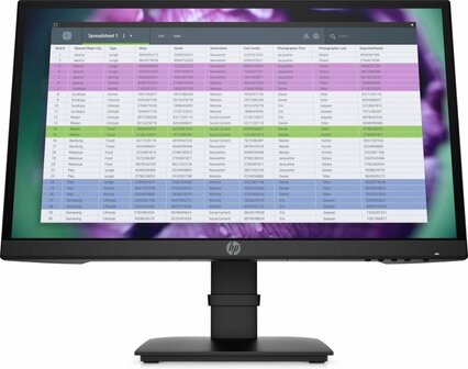 HP P22 G4 54,6 cm (21.5&quot;) 1920 x 1080 Pixels Full HD Zwart