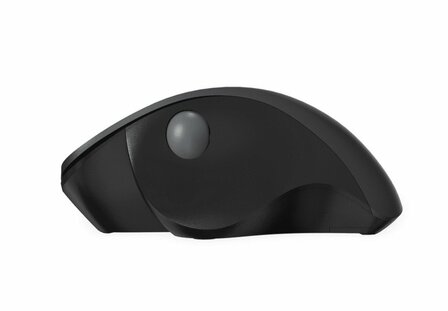 Qware Luton | Draadloze Muis | Rechtshandig | RF | 1600 DPI | Zwart