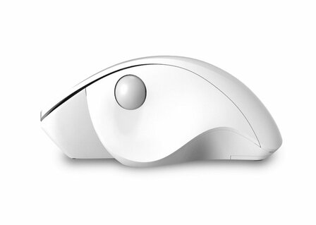 QWARE Wireless Mouse Luton Wit