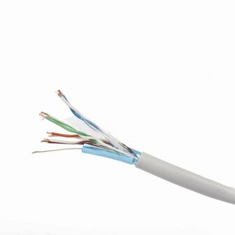 Gembird F/UTP Cat 5E Netwerkkabel | 100 m | Grijs