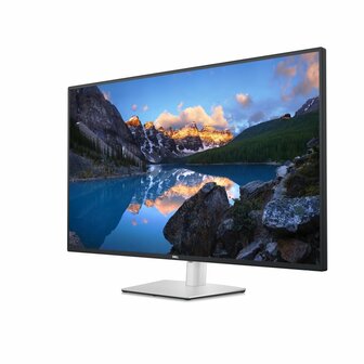 DELL U4323QE 43&quot; | 3840 x 2160 IPS | 60Hz | 4K Monitor