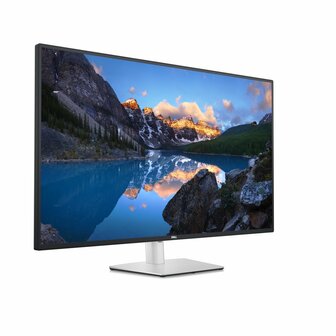 DELL U4323QE 43&quot; | 3840 x 2160 IPS | 60Hz | 4K Monitor