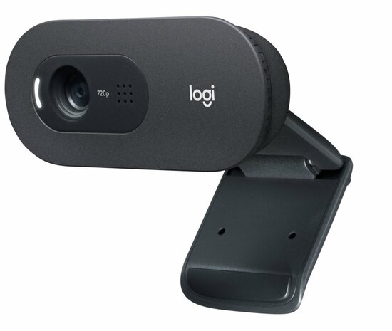 Logitech C505 HD Webcam