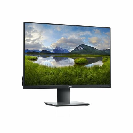 DELL P Series P2421 61,2 cm (24.1") 1920 x 1200 Pixels WUXGA LCD Zwart