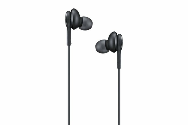 Samsung EO-IC1000 | In-Ear Oordopjes USB-C Connector | Zwart | Bulk