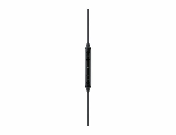 Samsung EO-IC1000 | In-Ear Oordopjes USB-C Connector | Zwart | Bulk