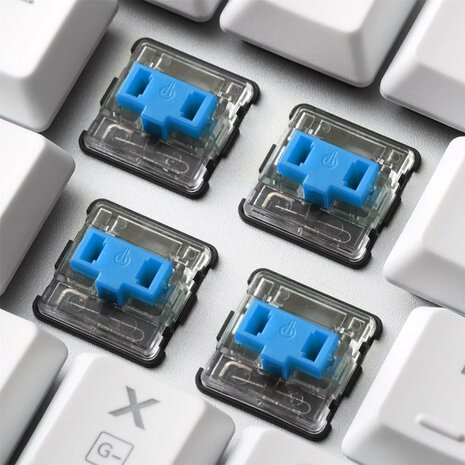 Sharkoon PureWriter TKL RGB Blue toetsenbord USB QWERTY Amerikaans Engels Wit