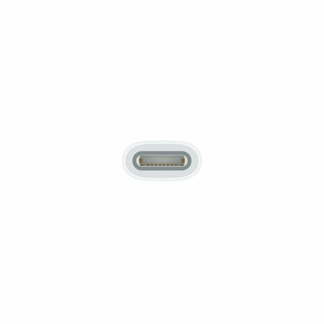 Apple USB-C to Pencil Adapter Wit 1 stuk(s)