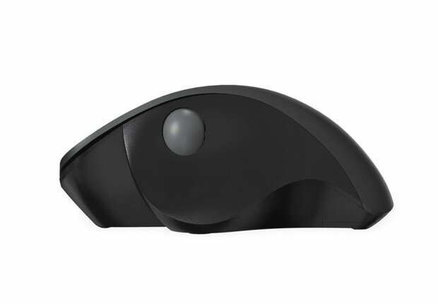 Qware Luton | Draadloze Muis | Rechtshandig | RF | 1600 DPI | Zwart
