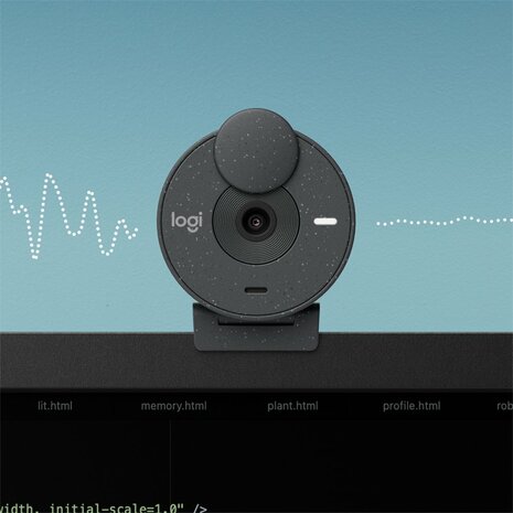 Logitech Brio 300 | 1080P 30FPS USB-C Webcam met Microfoon