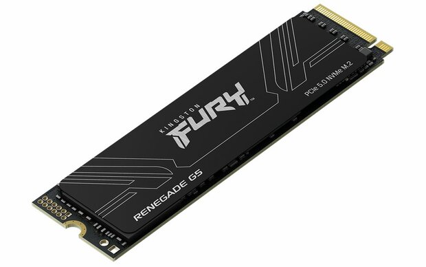 Kingston Fury Renegade G5 | 1TB NVMe SSD | M.2 | Gen5 | 14.200MB/s
