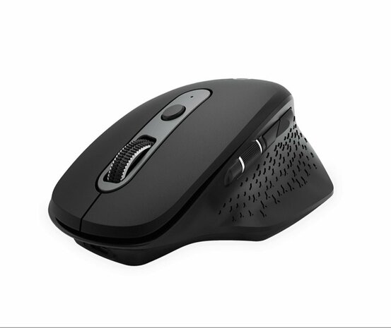 QWARE Wireless Ergo Mouse York Zwart