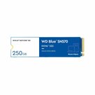 Western-Digital-WD-Blue-SN570-M.2-250-GB-PCI-Express-3.0-NVMe