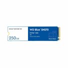 Western-Digital-WD-Blue-SN570-|-250GB-NVMe-SSD-|-M.2-|-Gen3-|-3.300MB-s