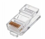 Gembird-kabel-connector-|-RJ45-|-8P8C-|-Transparant-|-PLUG3UP6-10