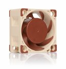 Noctua-NF-A4x20-PWM-Computer-behuizing-Ventilator-4-cm-Beige-Bruin